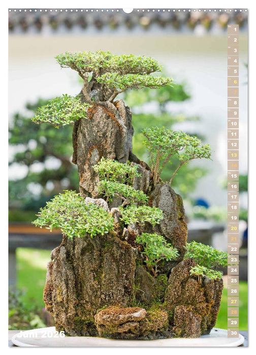 Bonsai: Gartenkunst im Kleinen (CALVENDO Wandkalender 2026)