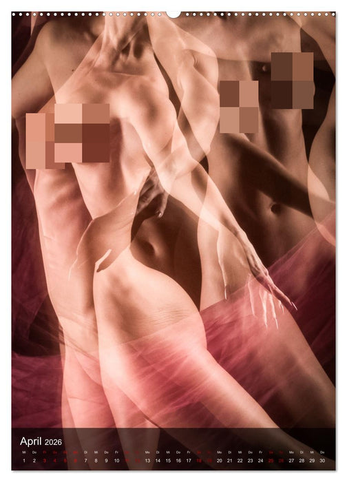 Sanfte Momente (CALVENDO Premium Wandkalender 2026)