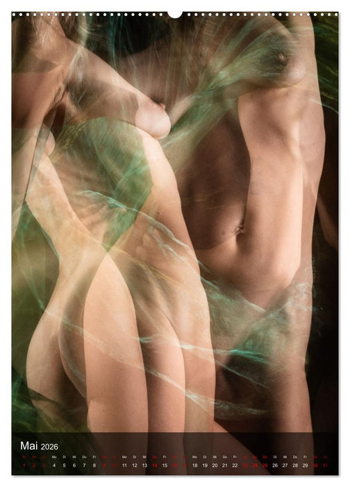 Sanfte Momente (CALVENDO Premium Wandkalender 2026)