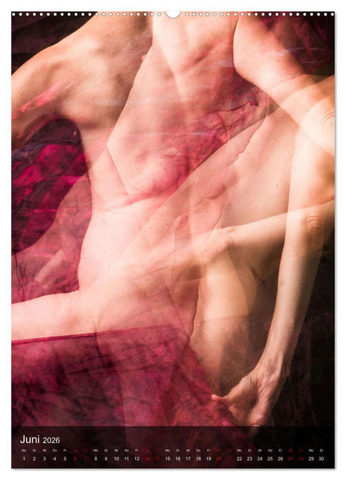 Sanfte Momente (CALVENDO Premium Wandkalender 2026)