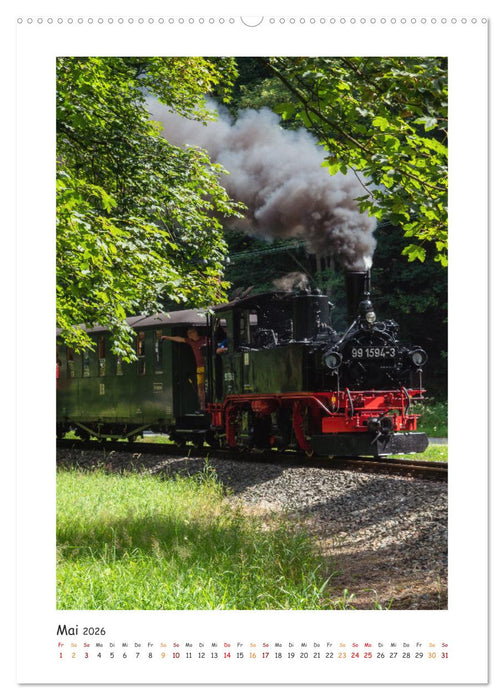Faszination Museumsbahn (CALVENDO Wandkalender 2026)