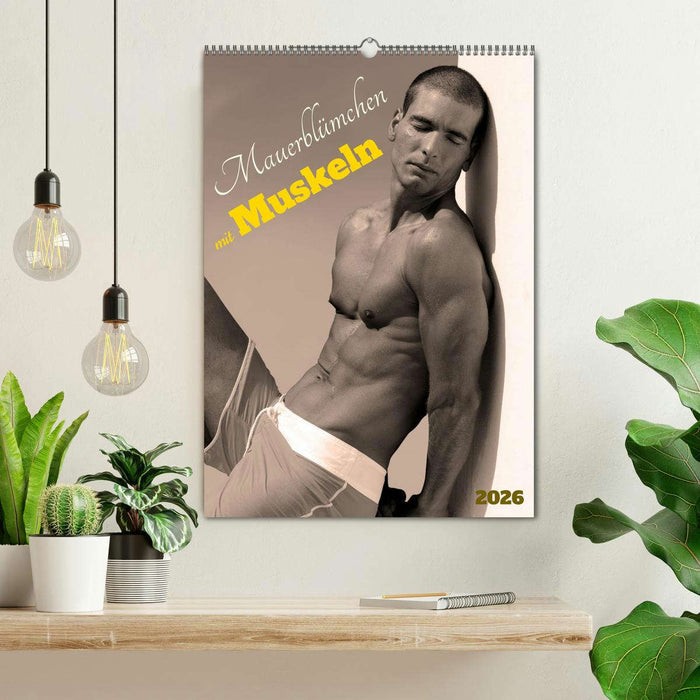 Mauerblümchen mit Muskeln (CALVENDO Wandkalender 2026)