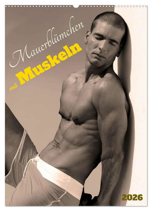 Mauerblümchen mit Muskeln (CALVENDO Wandkalender 2026)