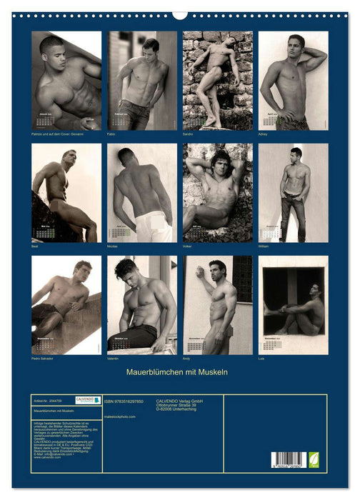 Mauerblümchen mit Muskeln (CALVENDO Wandkalender 2026)
