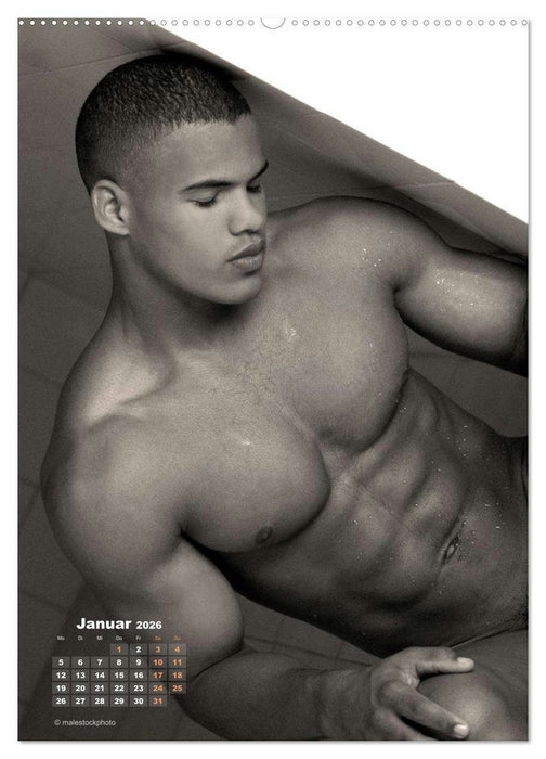 Mauerblümchen mit Muskeln (CALVENDO Wandkalender 2026)