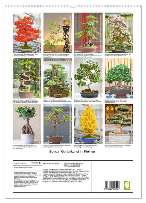 Bonsai: Gartenkunst im Kleinen (CALVENDO Premium Wandkalender 2026)