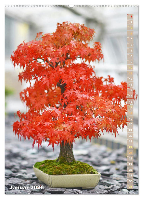 Bonsai: Gartenkunst im Kleinen (CALVENDO Premium Wandkalender 2026)
