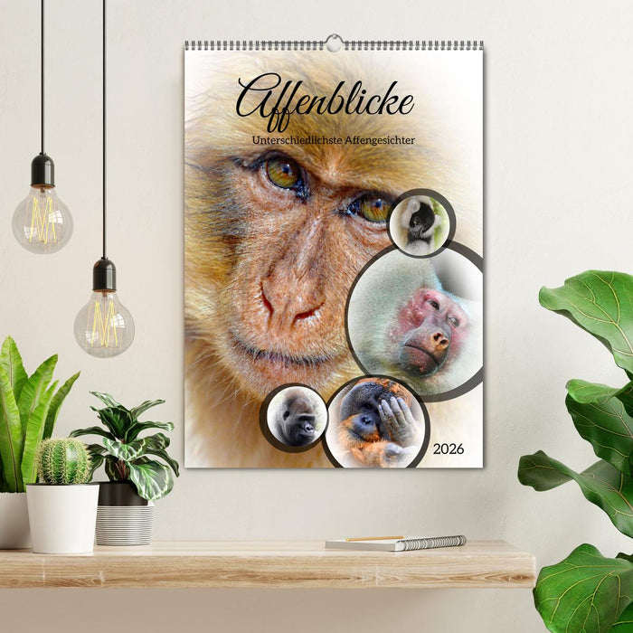 Affenblicke (CALVENDO Wandkalender 2026)
