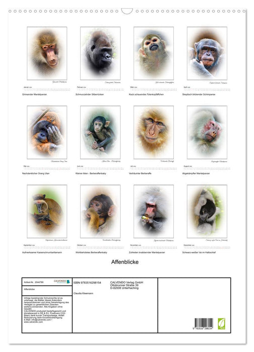 Affenblicke (CALVENDO Wandkalender 2026)