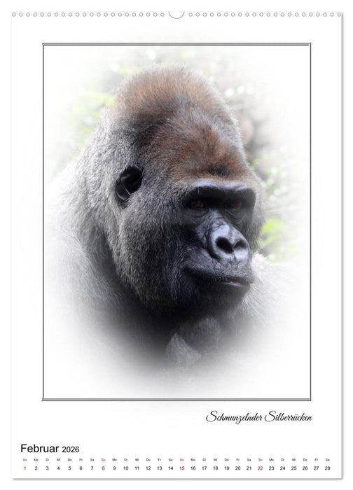 Affenblicke (CALVENDO Wandkalender 2026)