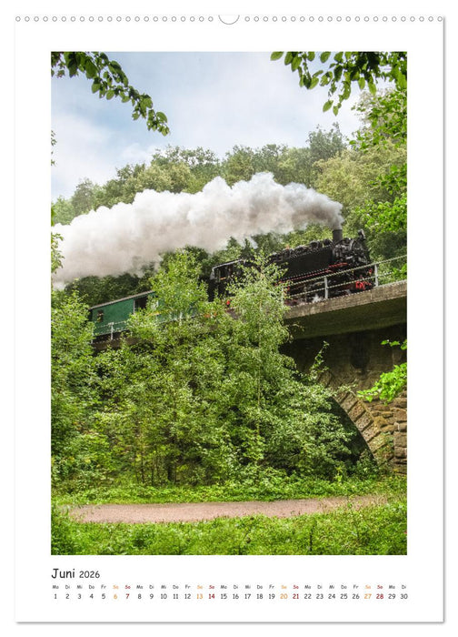 Faszination Museumsbahn (CALVENDO Premium Wandkalender 2026)
