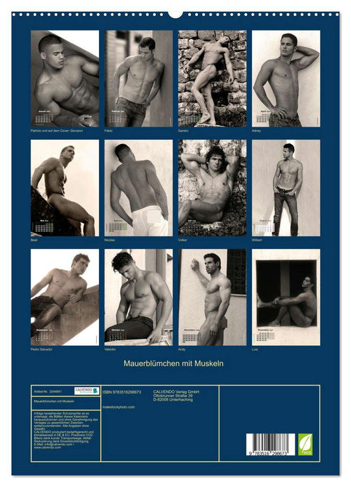 Mauerblümchen mit Muskeln (CALVENDO Premium Wandkalender 2026)