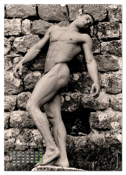 Mauerblümchen mit Muskeln (CALVENDO Premium Wandkalender 2026)