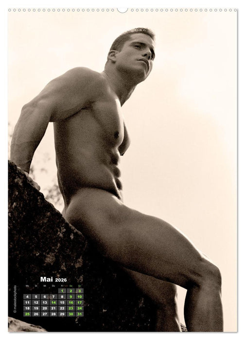 Mauerblümchen mit Muskeln (CALVENDO Premium Wandkalender 2026)