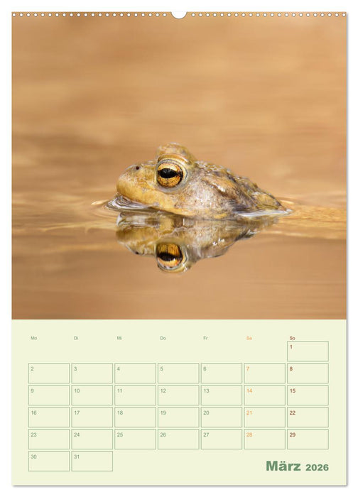 Waldmomente (CALVENDO Premium Wandkalender 2026)