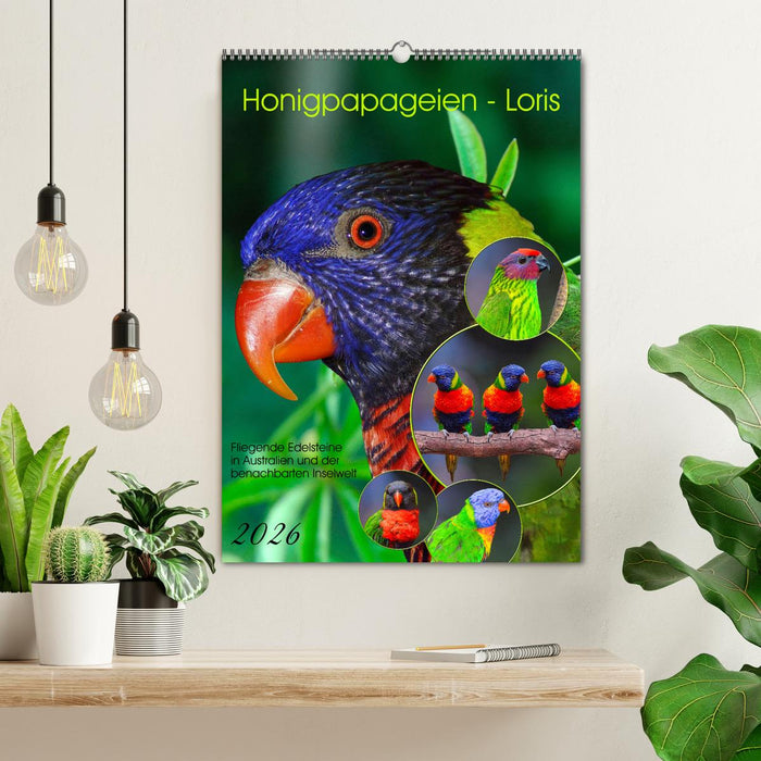 Honigpapageien - Loris (CALVENDO Wandkalender 2026)