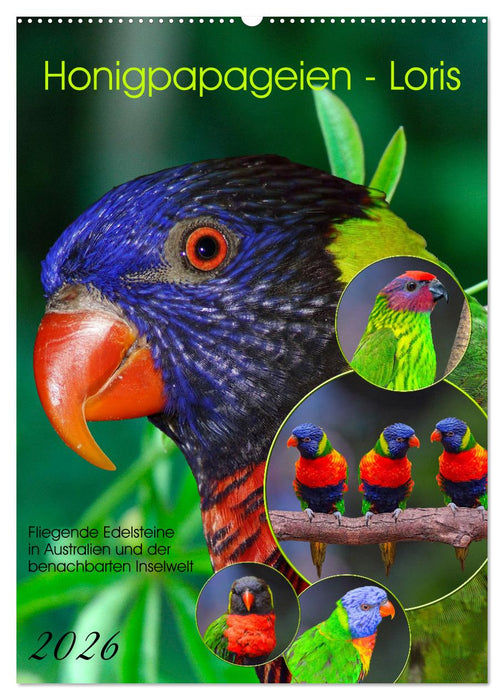 Honigpapageien - Loris (CALVENDO Wandkalender 2026)