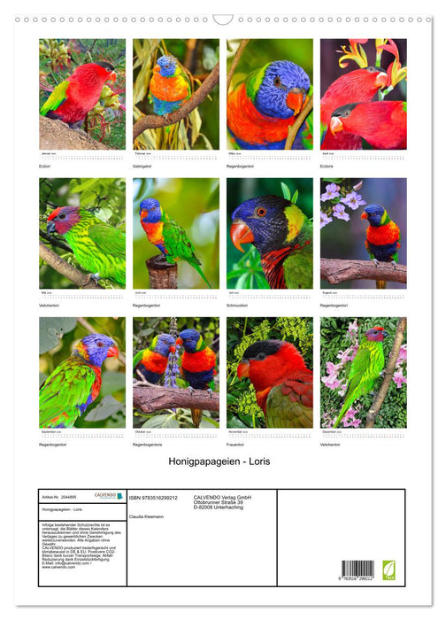 Honigpapageien - Loris (CALVENDO Wandkalender 2026)