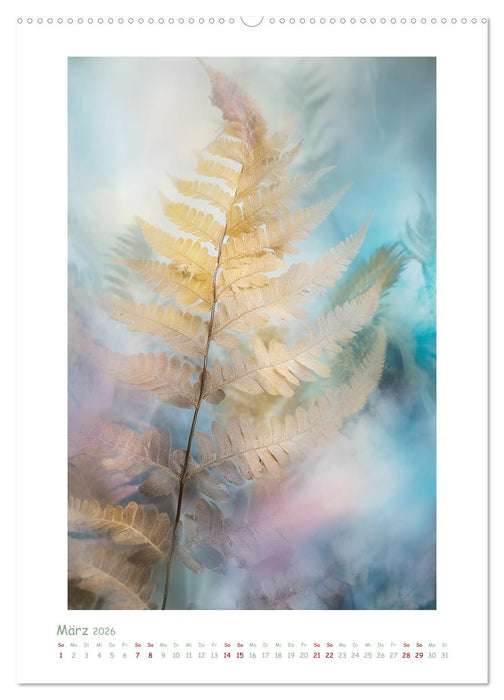 Zarte Träumerei (CALVENDO Premium Wandkalender 2026)