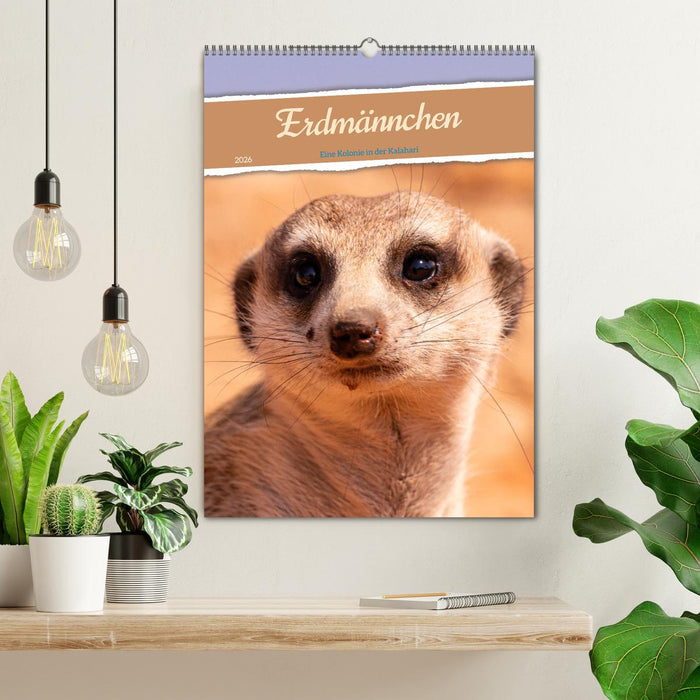 Erdmännchen - Eine Kolonie in der Kalahari (CALVENDO Wandkalender 2026)