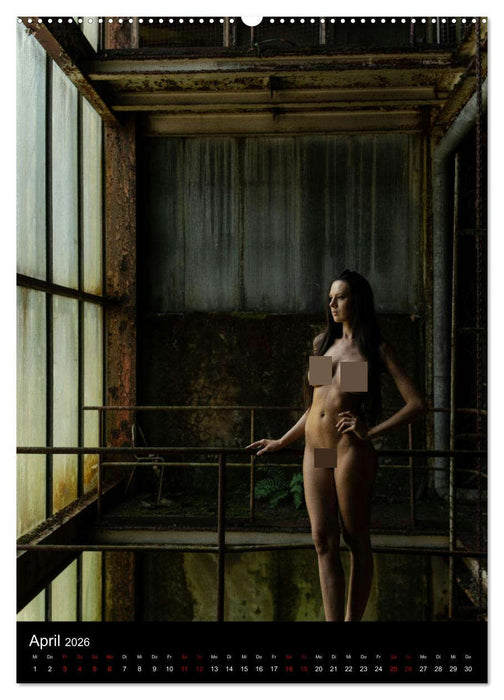 Beautiful Nudes (CALVENDO Wandkalender 2026)
