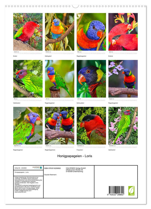 Honigpapageien - Loris (CALVENDO Premium Wandkalender 2026)