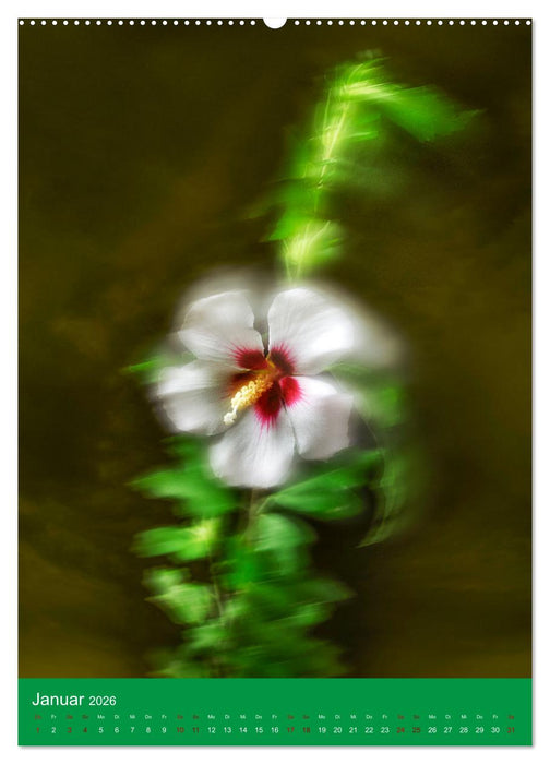 Floraler Tanz (CALVENDO Wandkalender 2026)