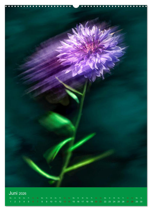 Floraler Tanz (CALVENDO Wandkalender 2026)