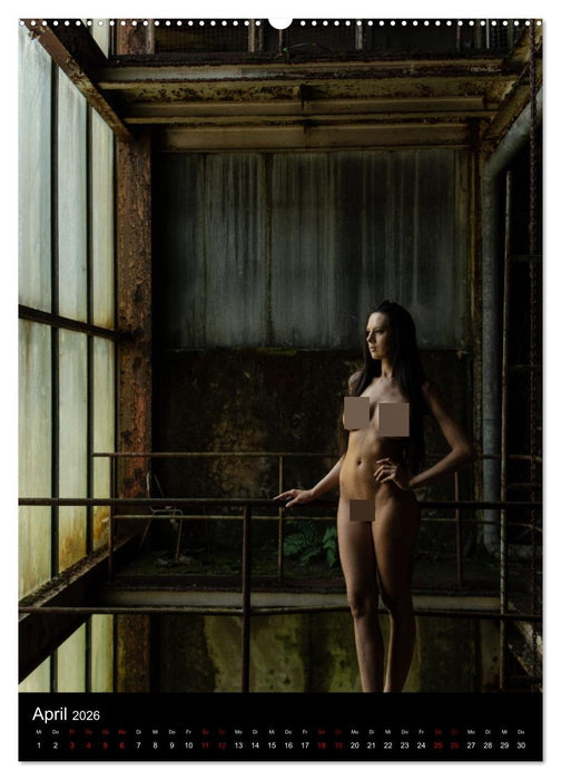 Beautiful Nudes (CALVENDO Premium Wandkalender 2026)