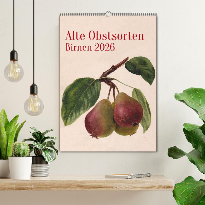 Alte Obstsorten - Birnen 2026 (CALVENDO Wandkalender 2026)