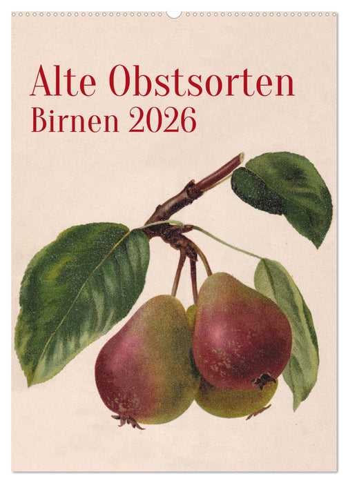 Alte Obstsorten - Birnen 2026 (CALVENDO Wandkalender 2026)