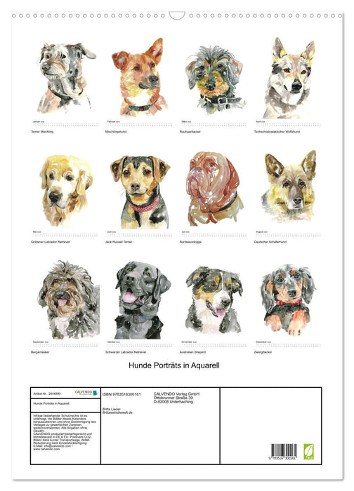 Hunde Porträts in Aquarell (CALVENDO Wandkalender 2026)
