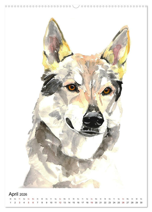 Hunde Porträts in Aquarell (CALVENDO Wandkalender 2026)