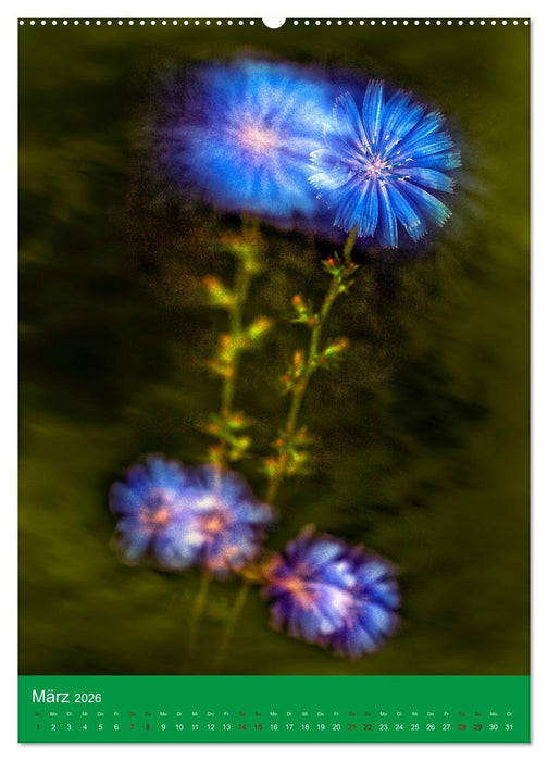 Floraler Tanz (CALVENDO Premium Wandkalender 2026)