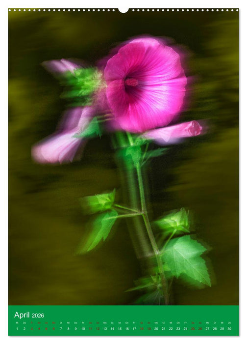 Floraler Tanz (CALVENDO Premium Wandkalender 2026)