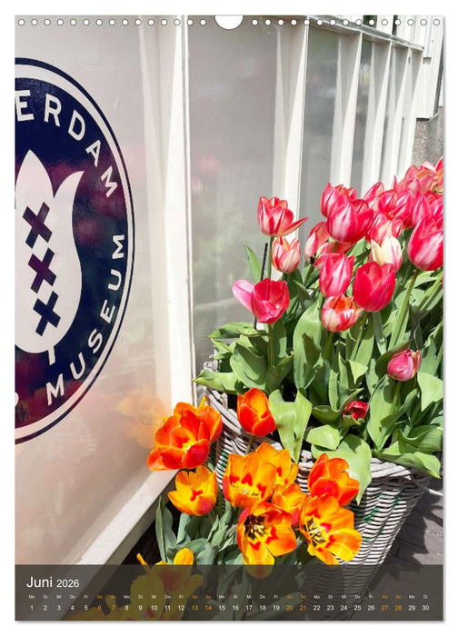 Schönes Amsterdam (CALVENDO Wandkalender 2026)