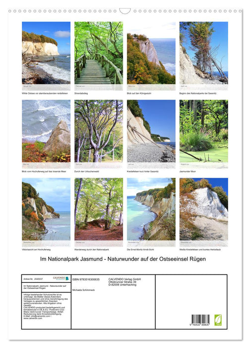 Im Nationalpark Jasmund - Naturwunder auf der Ostseeinsel Rügen (CALVENDO Wandkalender 2026)