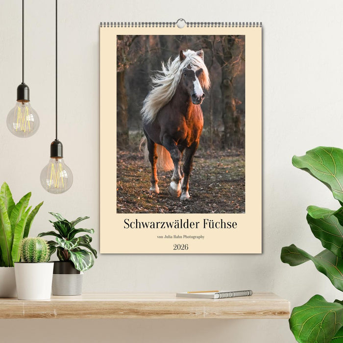 Schwarzwälder Füchse von Julia Hahn Photography (CALVENDO Wandkalender 2026)