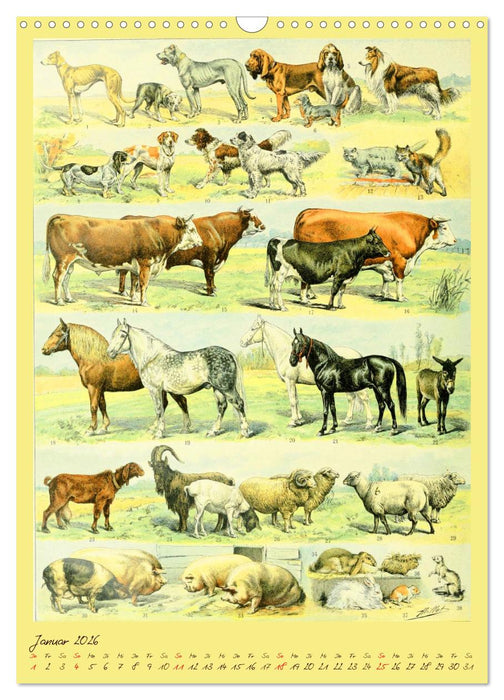 Prächtige Naturtafeln (CALVENDO Wandkalender 2026)