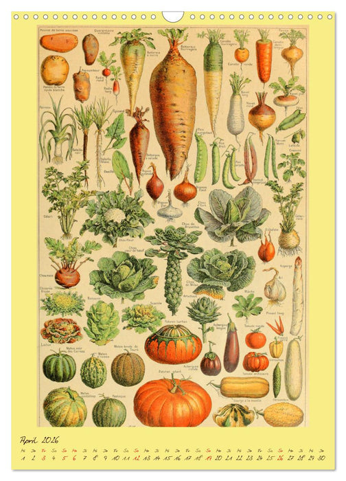 Prächtige Naturtafeln (CALVENDO Wandkalender 2026)