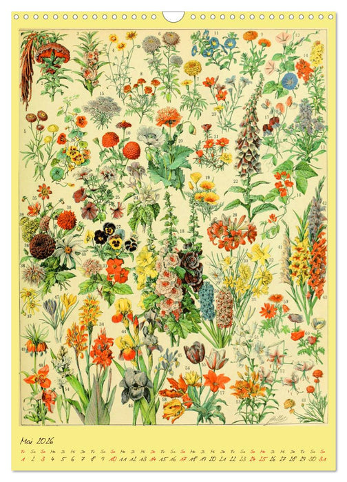 Prächtige Naturtafeln (CALVENDO Wandkalender 2026)