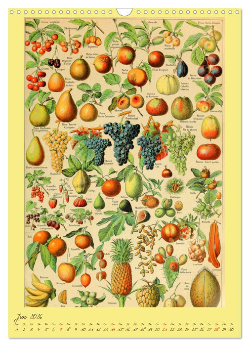 Prächtige Naturtafeln (CALVENDO Wandkalender 2026)