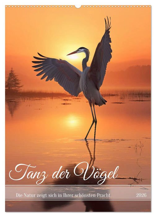 Tanz der Vögel (CALVENDO Wandkalender 2026)