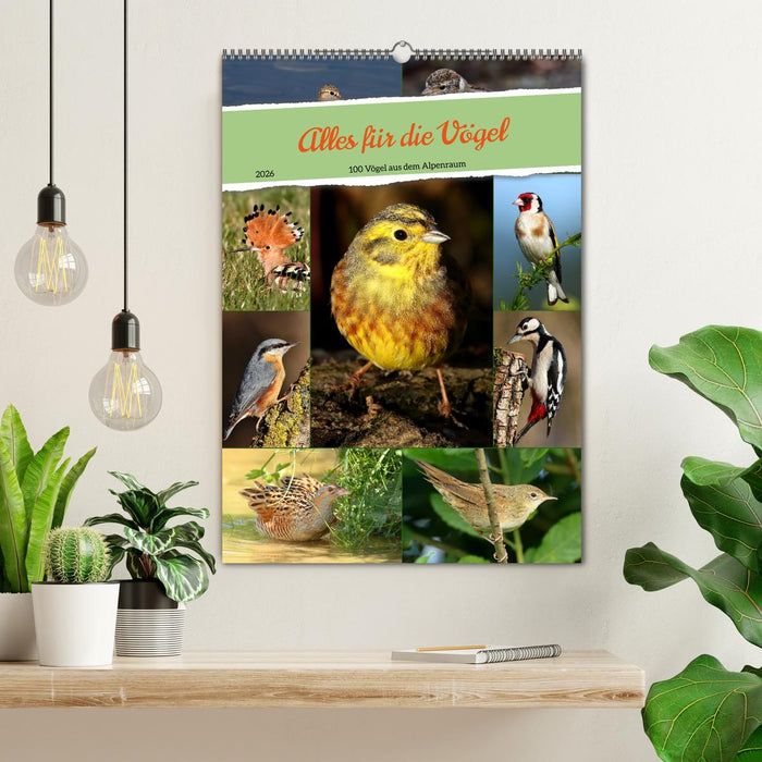 Alles für die Vögel (CALVENDO Wandkalender 2026)