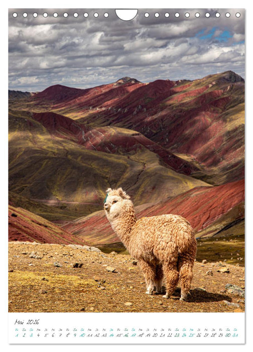 Unterwegs in Peru (CALVENDO Wandkalender 2026)