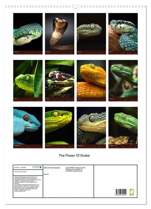 The Power Of Snake (CALVENDO Wandkalender 2026)