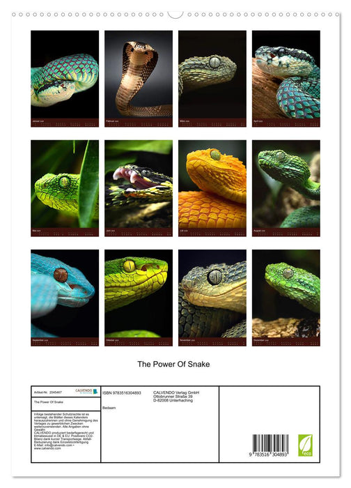 The Power Of Snake (CALVENDO Premium Wandkalender 2026)