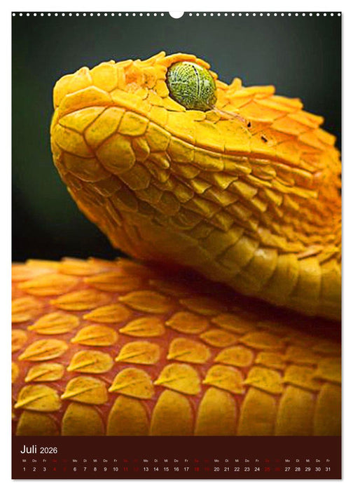 The Power Of Snake (CALVENDO Premium Wandkalender 2026)