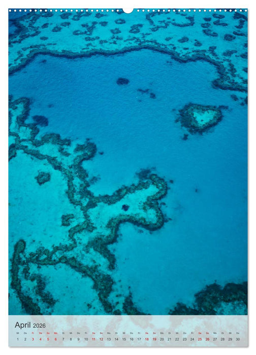 Magische Naturmomente (CALVENDO Premium Wandkalender 2026)