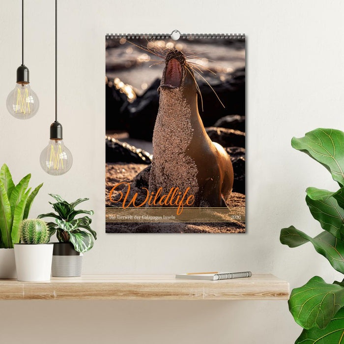 Wildlife - Die Tierwelt der Galapagos Inseln (CALVENDO Wandkalender 2026)
